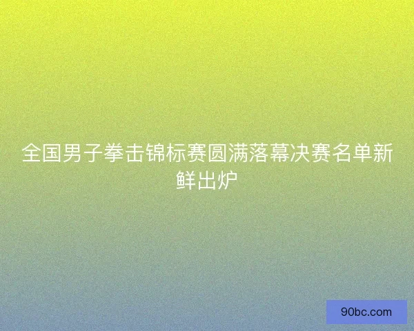 全国男子拳击锦标赛圆满落幕决赛名单新鲜出炉