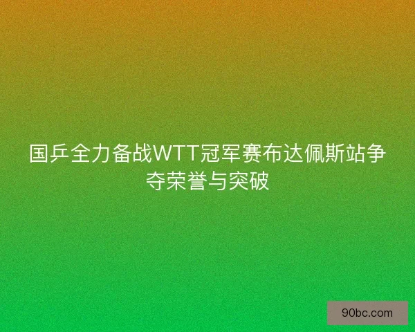 国乒全力备战WTT冠军赛布达佩斯站争夺荣誉与突破